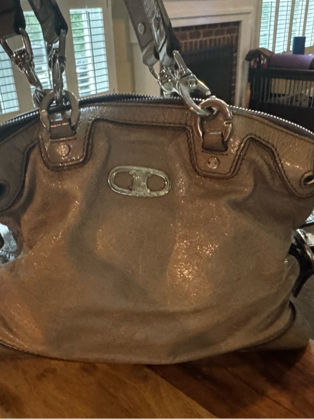 Celine Metallic Taupe Women’s Shoulder Bag
